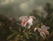 Martin Johnson Heade Jungle Orchids and Hummingbirds Sweden oil painting artist